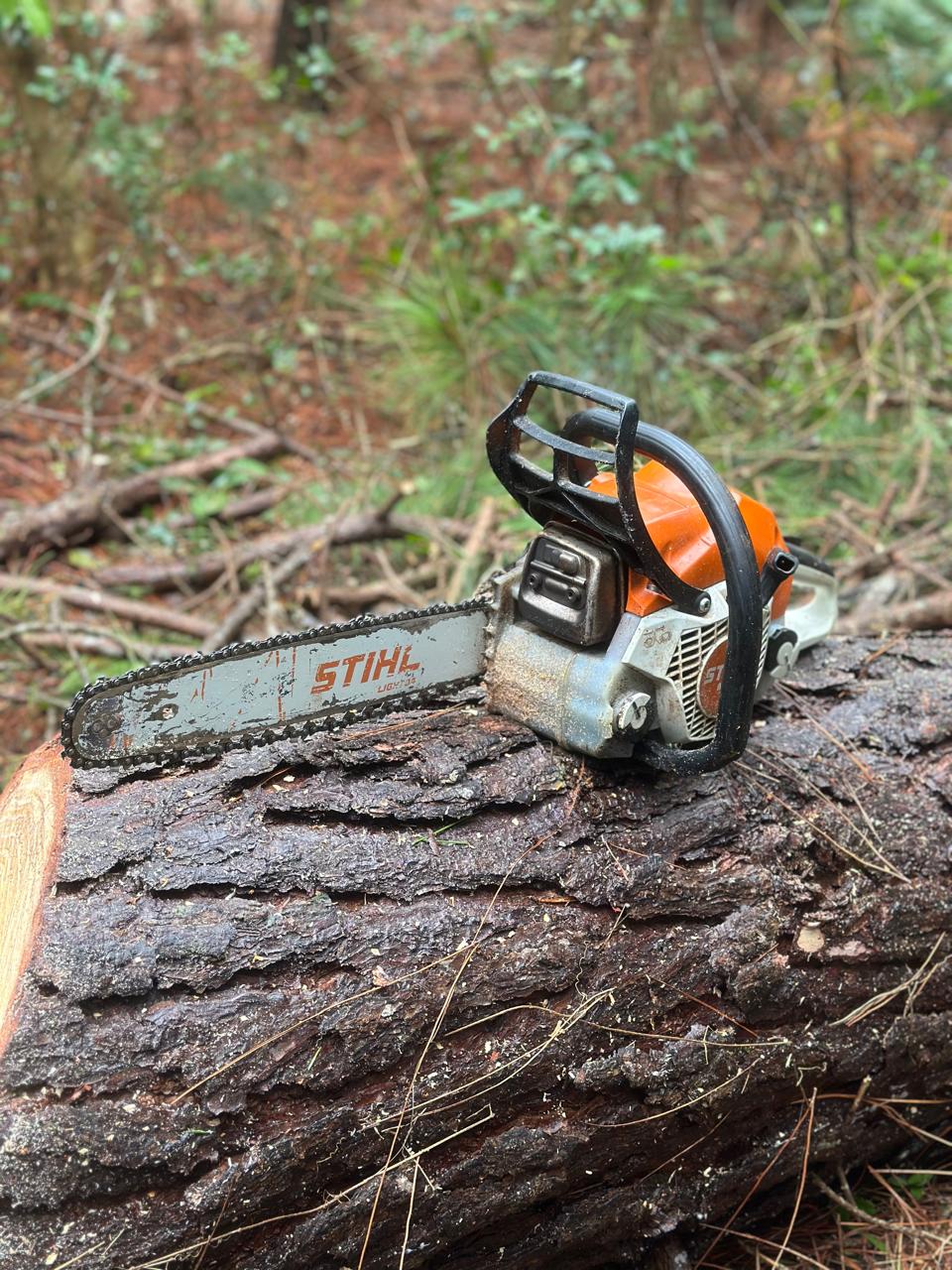 Equipamento profissional Stihl