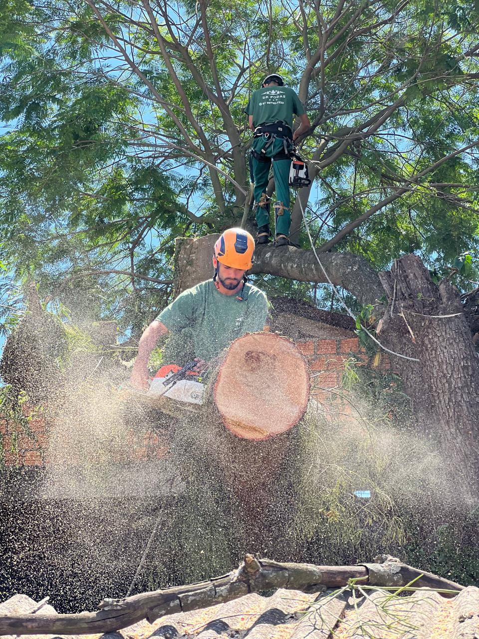 WhatsApp Image 2025-12-19 at 12.23.42