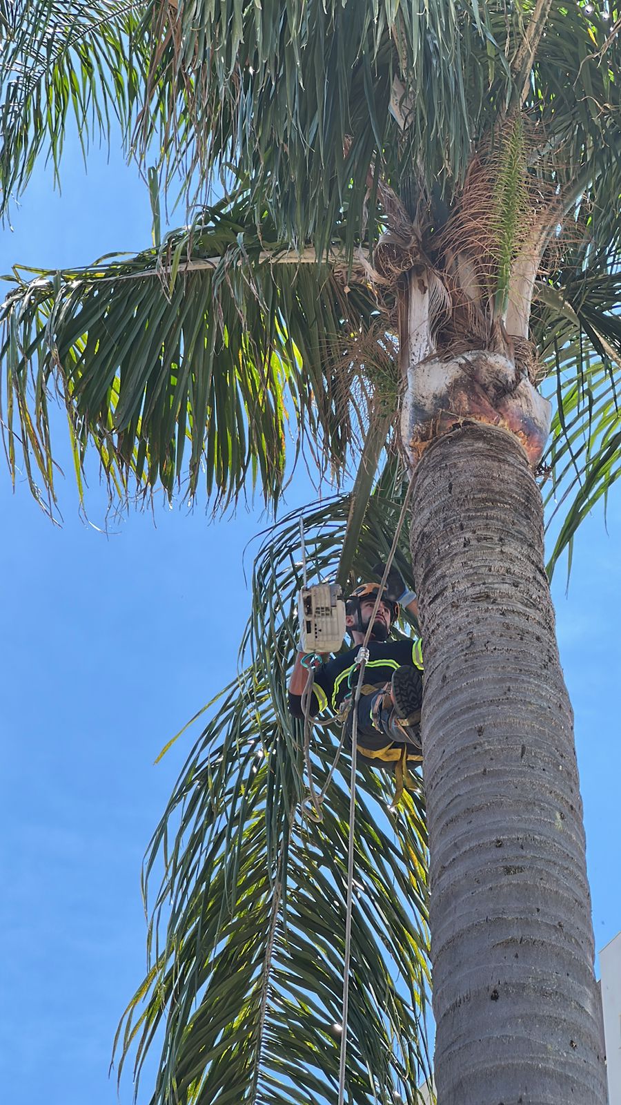 WhatsApp Image 2026-01-29 at 20.05.35 (2)