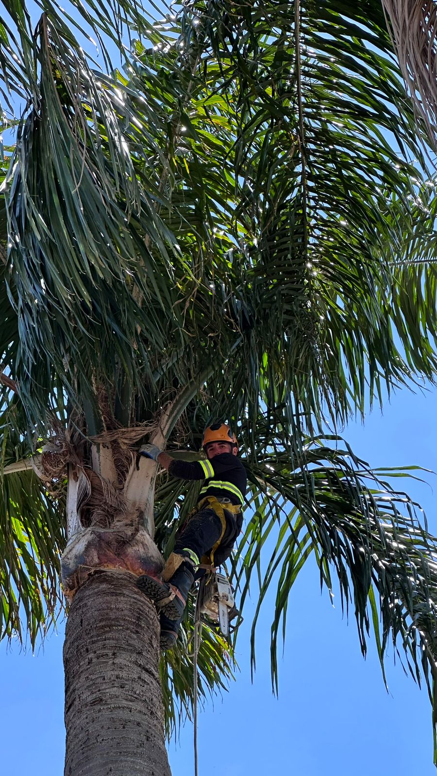 WhatsApp Image 2026-01-29 at 20.05.35 (3)