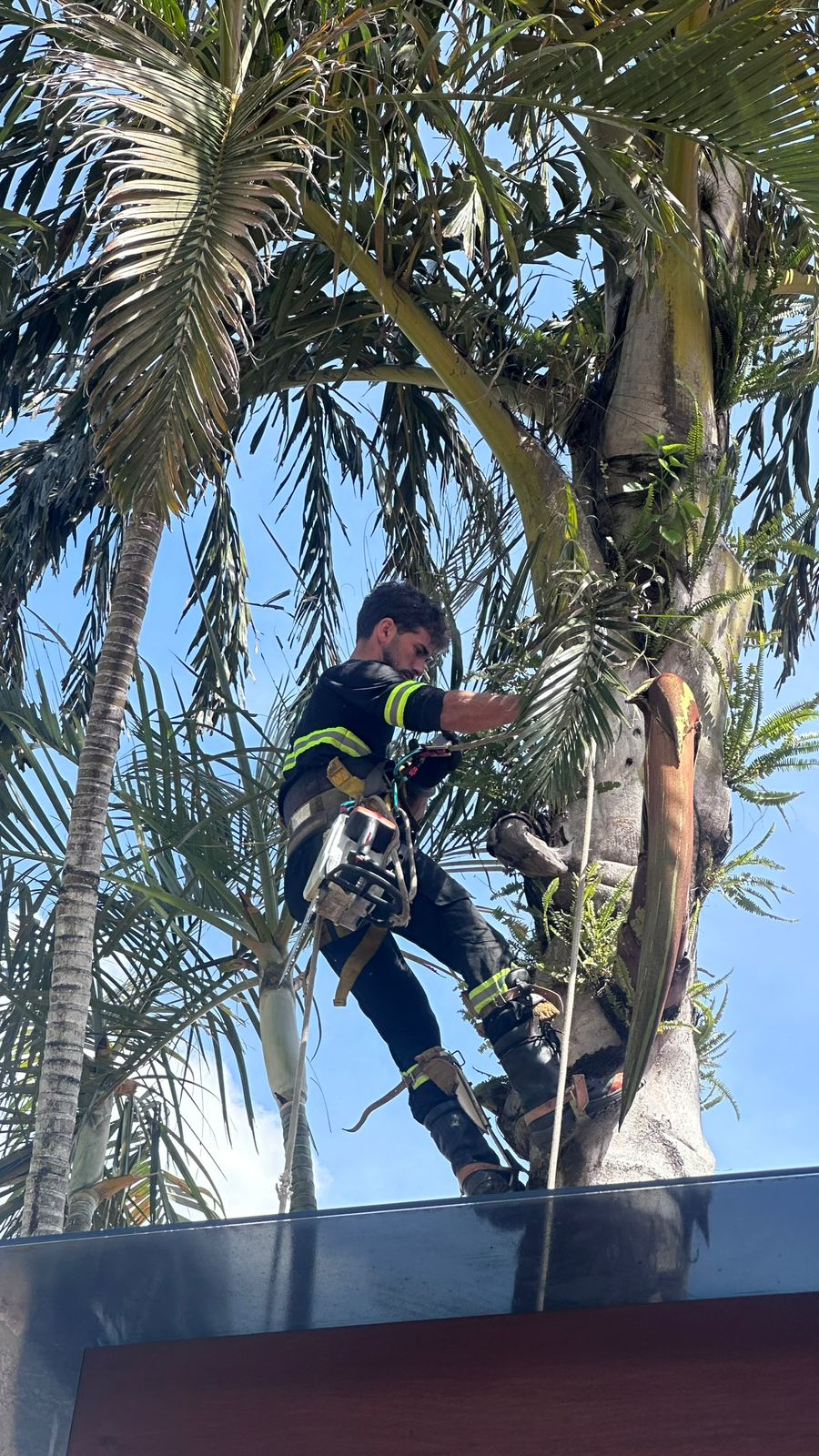 WhatsApp Image 2026-01-29 at 20.05.35